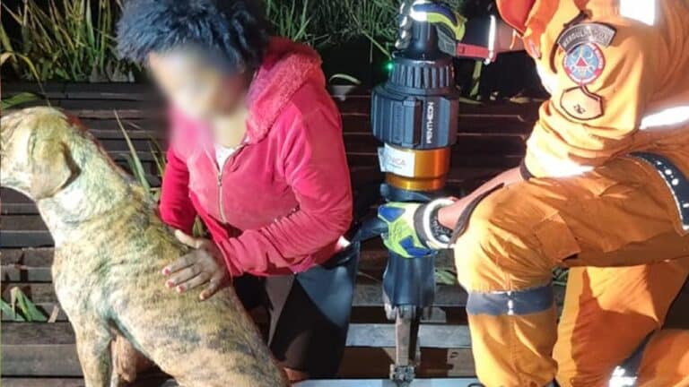 Bombeiros percorrem 50 km até achar mulher embriagada que caiu em mata-burro em Três Marias