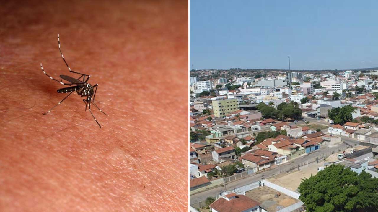 Sobe para dois o número de casos prováveis de Chikungunya em João Pinheiro; dengue segue avançando