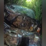 Motorista de 52 anos morre na hora ao bater de frente com caminhão de leite na MGC-251 em Unaí