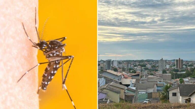 João Pinheiro tem 3 casos confirmados Chikungunya e 136 de Dengue