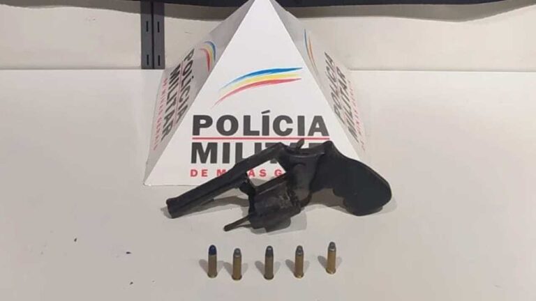 Polícia prende CAC que transportava arma de fogo de forma irregular na LMG-667, em Brasilândia de Minas