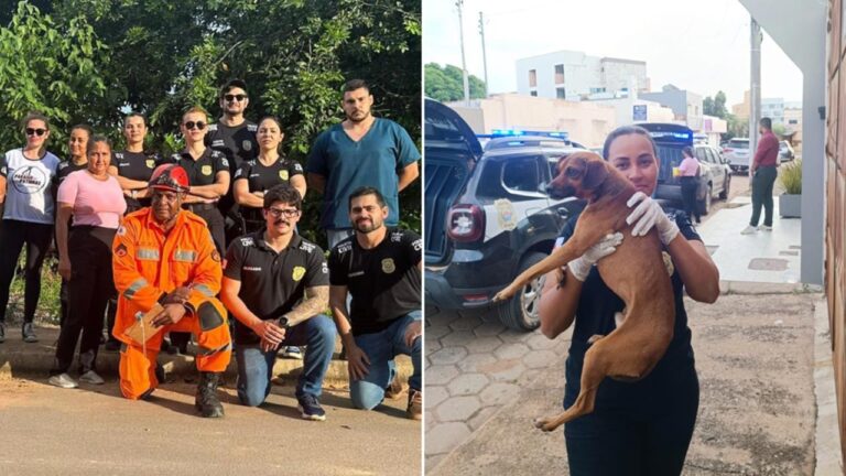 URGENTE: mulher investigada por matar cachorros para consumo é presa em flagrante pela em João Pinheiro