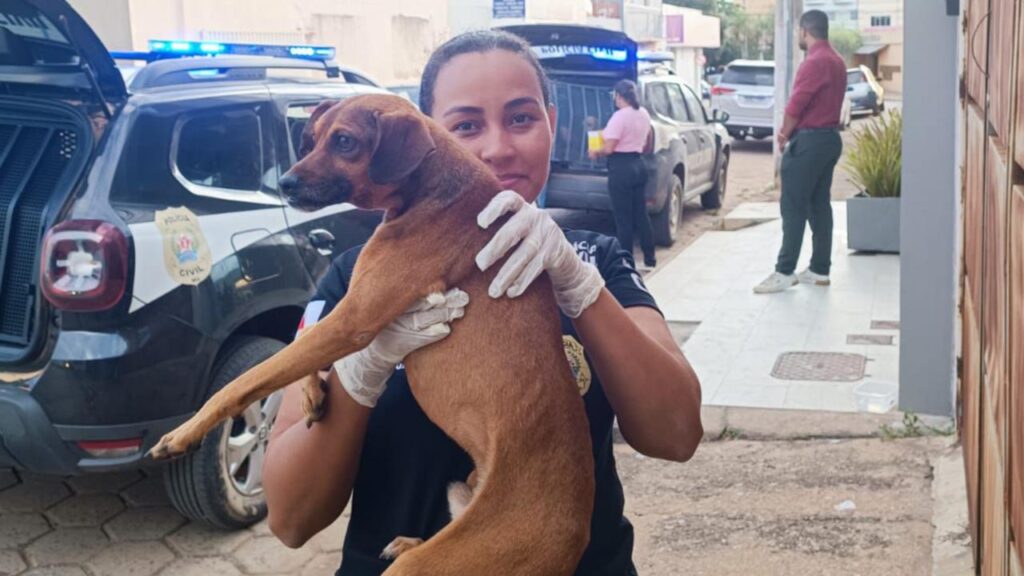 URGENTE: mulher investigada por matar cachorros para consumo é presa em flagrante pela em João Pinheiro