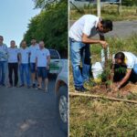 Lions Clube realiza plantio de árvores para revitalizar avenida em João Pinheiro