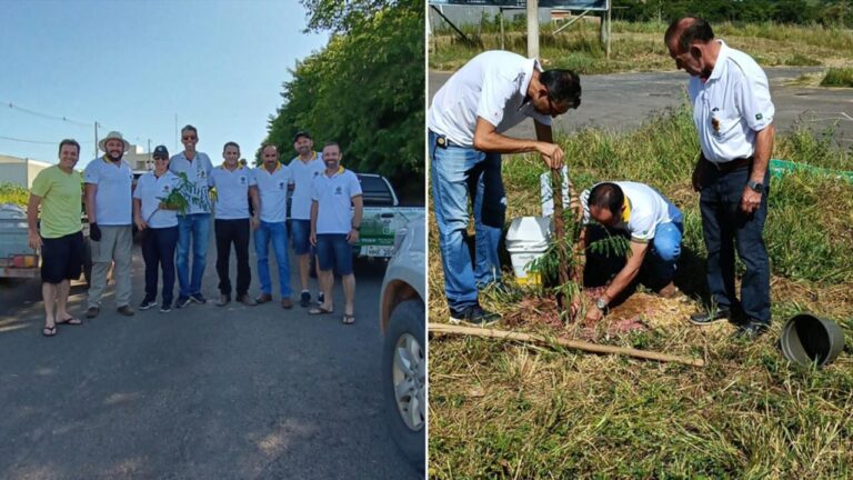 Lions Clube realiza plantio de árvores para revitalizar avenida em João Pinheiro