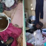 PC encontrou restos de animais na casa de idosa investigada por abate de cães em João Pinheiro; imagens impressionam