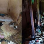 PC encontrou restos de animais na casa de idosa investigada por abate de cães em João Pinheiro; imagens impressionam