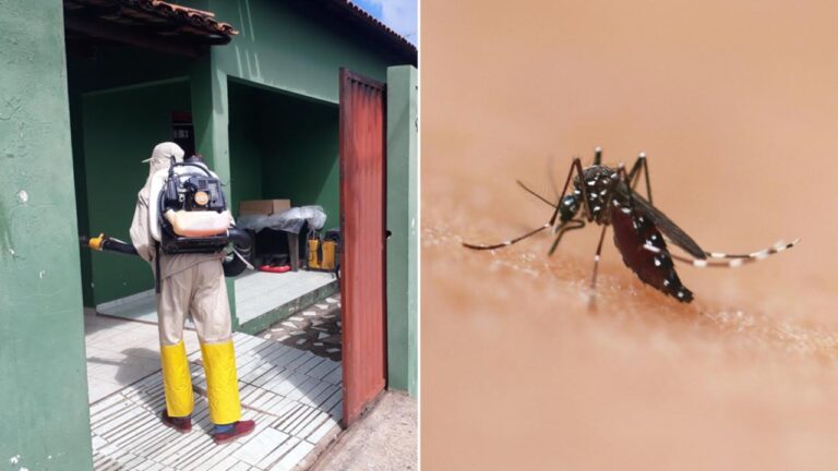 Número de casos confirmados de dengue em João Pinheiro segue crescendo, aponta boletim estadual
