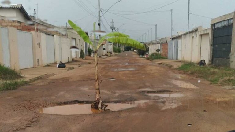 Moradores improvisam na sinalização e colocam árvore em cratera aberta no Bougainville 3, em João Pinheiro