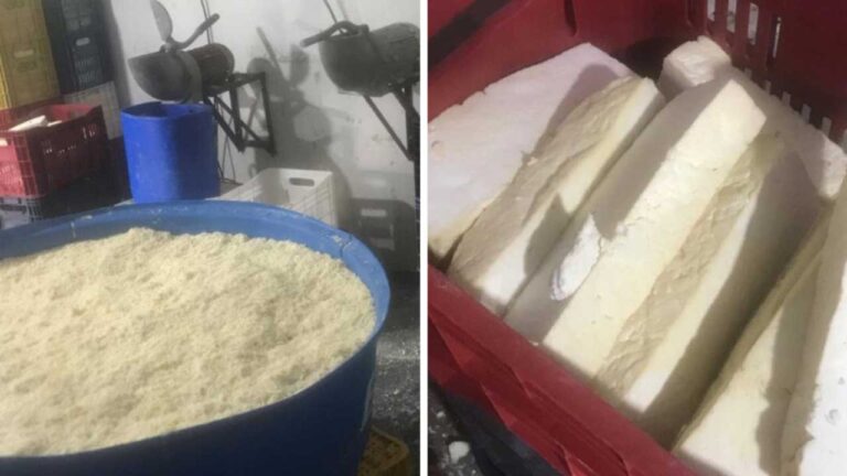 Empresa de Patos de Minas é flagrada vendendo queijo mofado para fabricantes de pão de queijo em Curitiba