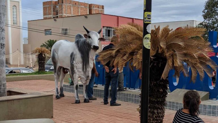 Representação do 'Boi Alegre' começa a ser instalada junto ao letreiro 'Eu ❤ João Pinheiro'