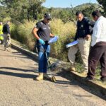 Mulher morre após ser atropelada e motorista foge sem prestar socorro na BR-040 em João Pinheiro