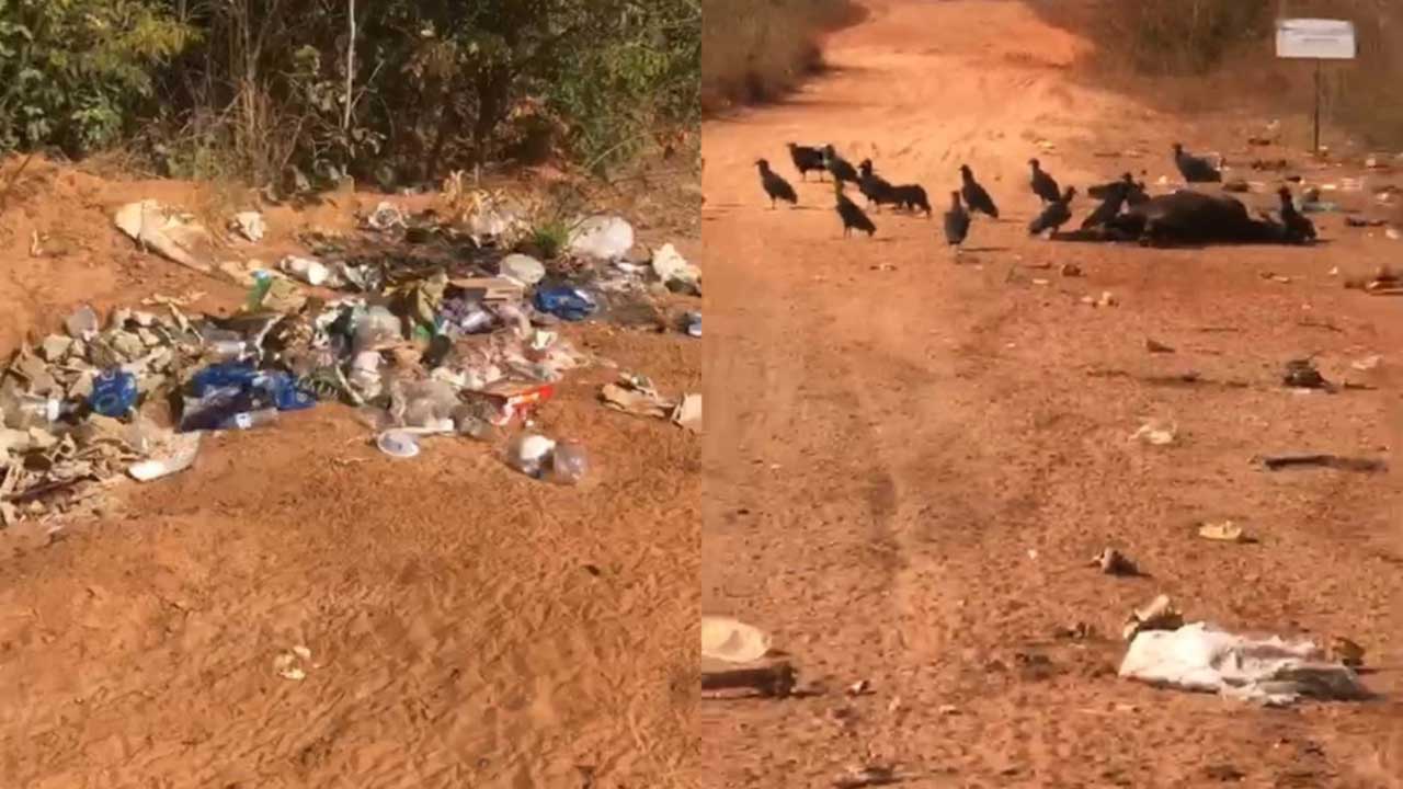 Morador denuncia descarte irregular de lixo na estrada da Mata da Cama, em Canabrava