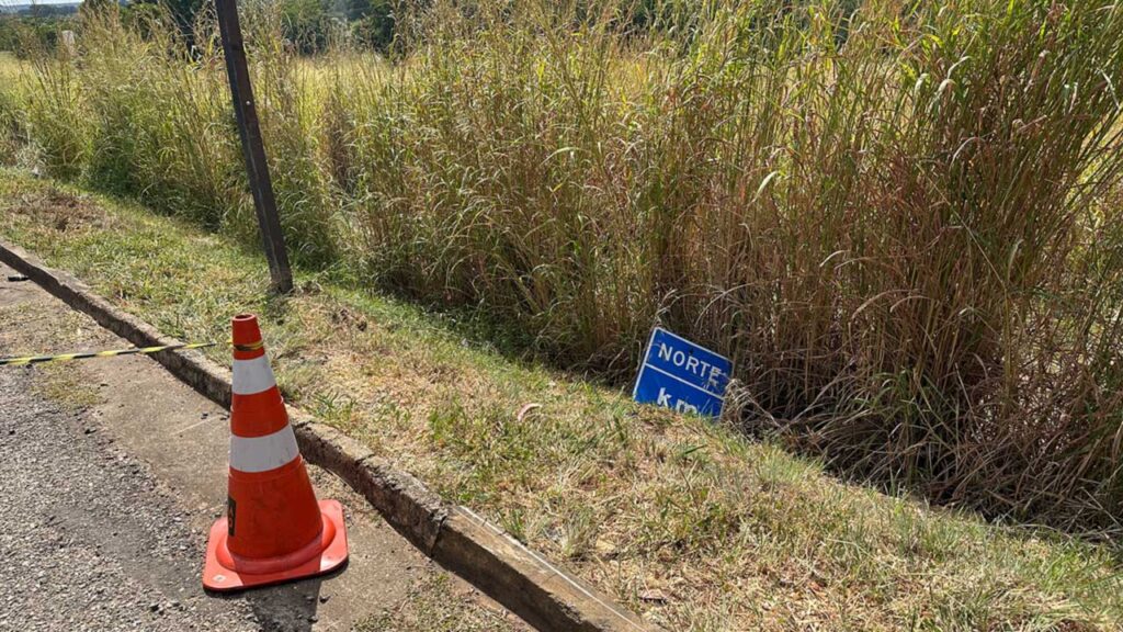 Motociclista morre após sair de pista e bater em placa de sinalização na BR-040 em João Pinheiro