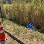 Motociclista morre após sair de pista e bater em placa de sinalização na BR-040 em João Pinheiro