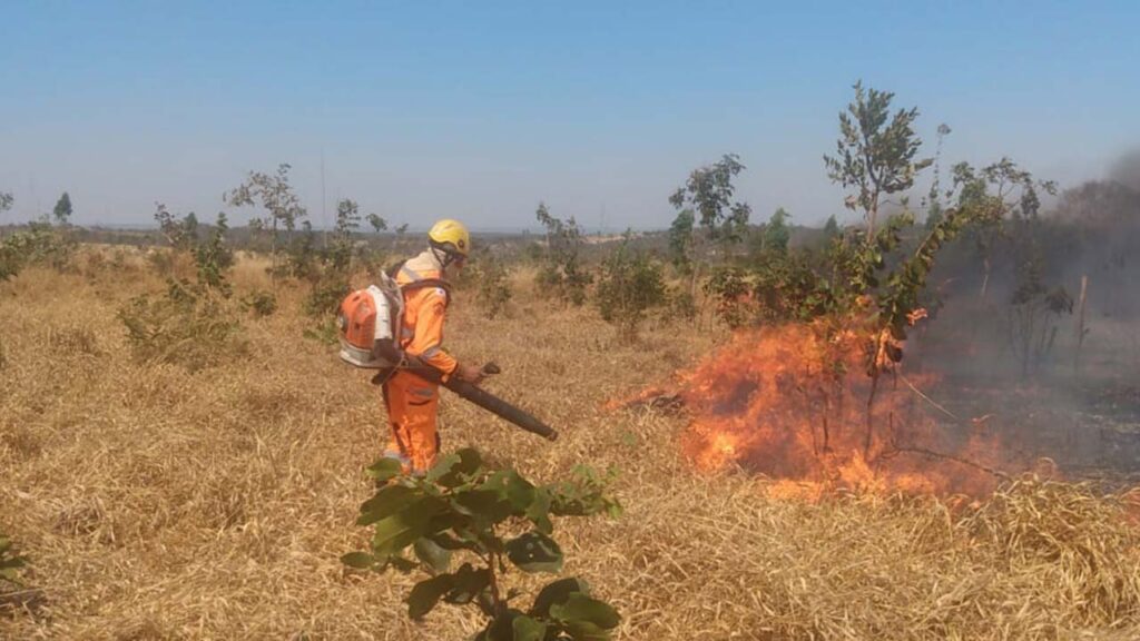 Incêndio destrói 80 hectares de vegetação em João Pinheiro, área equivalente a 112 campos de futebol