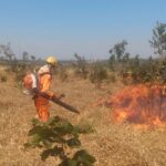 Incêndio destrói 80 hectares de vegetação em João Pinheiro, área equivalente a 112 campos de futebol