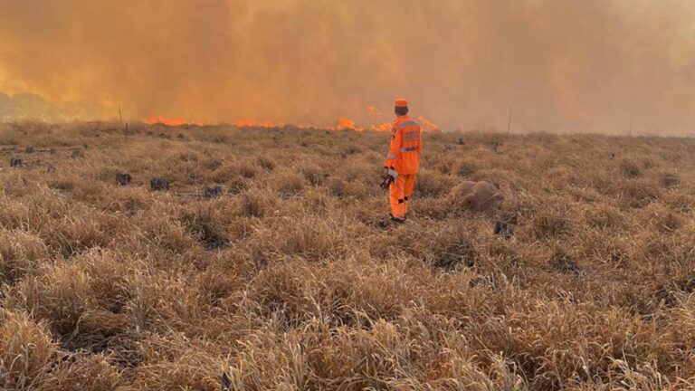 Incêndio destrói 80 hectares de vegetação em João Pinheiro, área equivalente a 112 campos de futebol