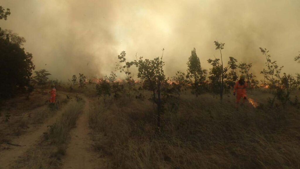 Incêndio destrói 80 hectares de vegetação em João Pinheiro, área equivalente a 112 campos de futebol