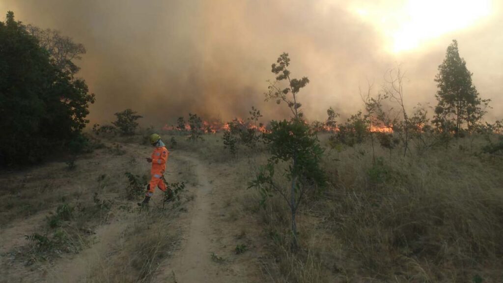 Incêndio destrói 80 hectares de vegetação em João Pinheiro, área equivalente a 112 campos de futebol