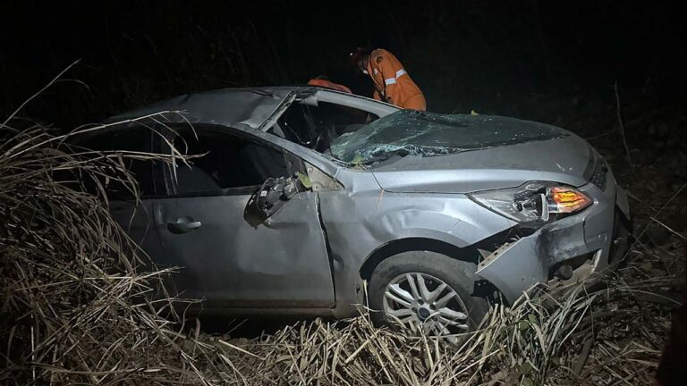 Capivara atravessa BR-040 e causa capotamento em Lagoa Grande; quatro pessoas foram encaminhadas ao hospital