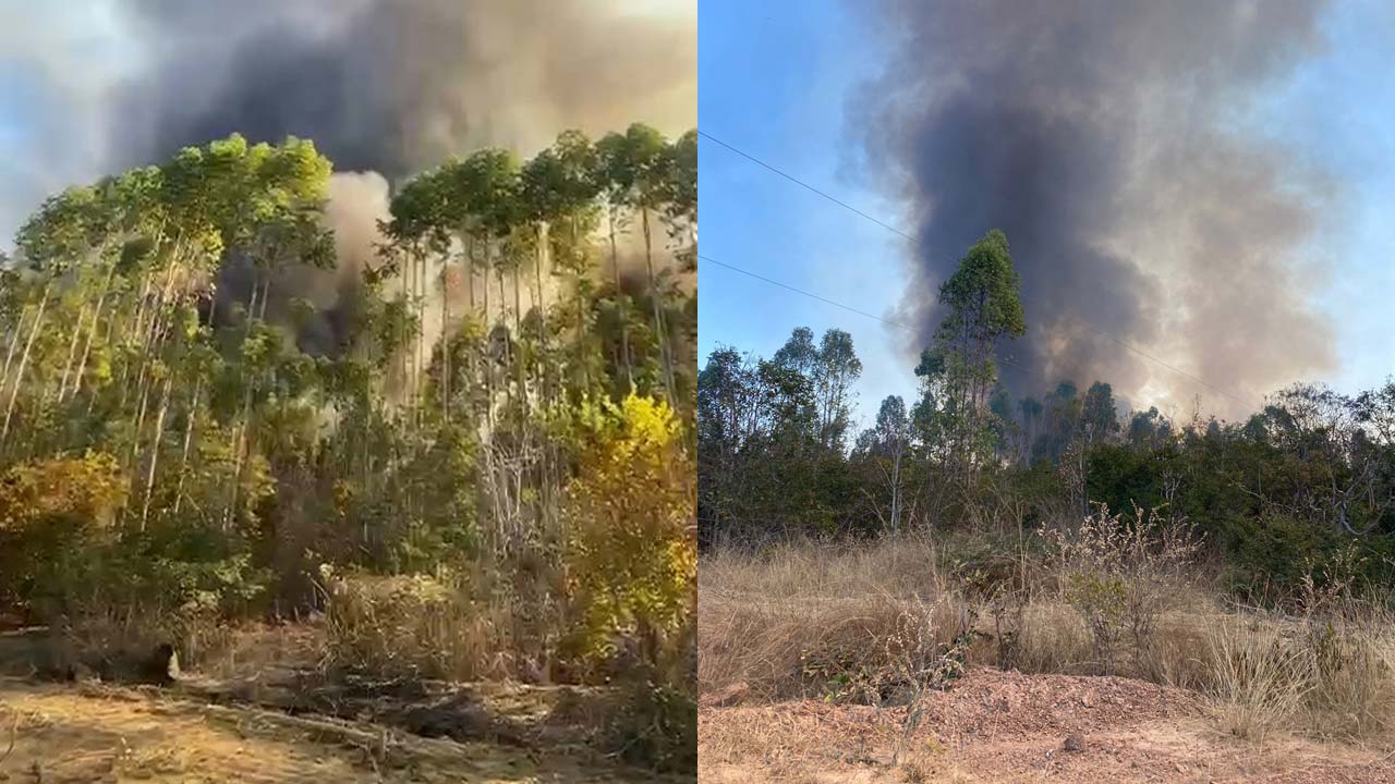 Avião auxilia força-tarefa a combater incêndio que destruiu 1.500 hectares em João Pinheiro