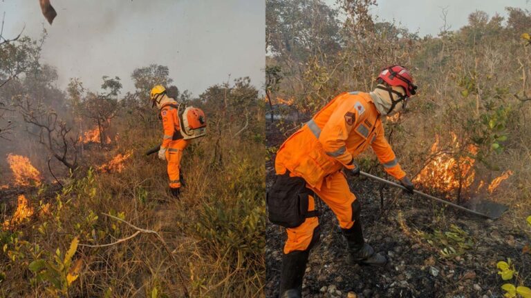 Incêndio destrói 5 mil hectares de vegetação em João Pinheiro, área equivalente a 7 mil campos de futebol