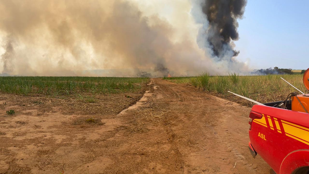 Avião é usado para combater incêndio que destruiu 350 hectares de canavial em João Pinheiro