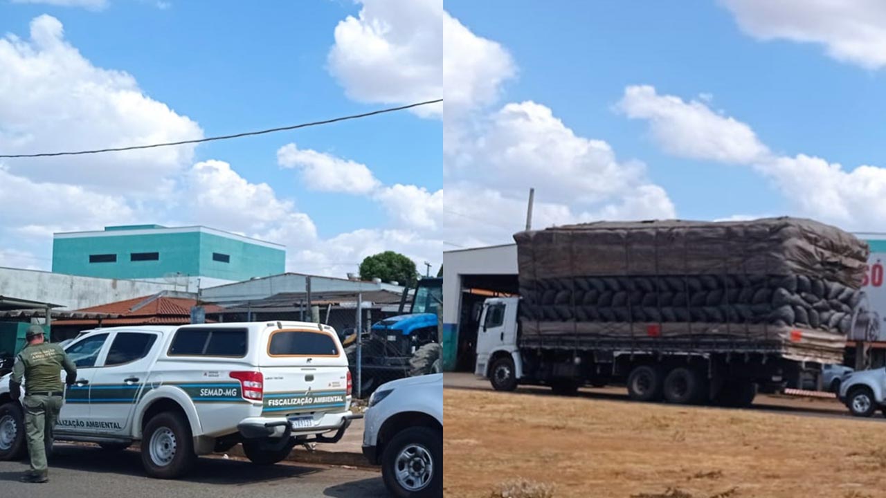 Operação apreende toneladas de carvão vegetal extraído ilegalmente em João Pinheiro e Brasilândia de Minas