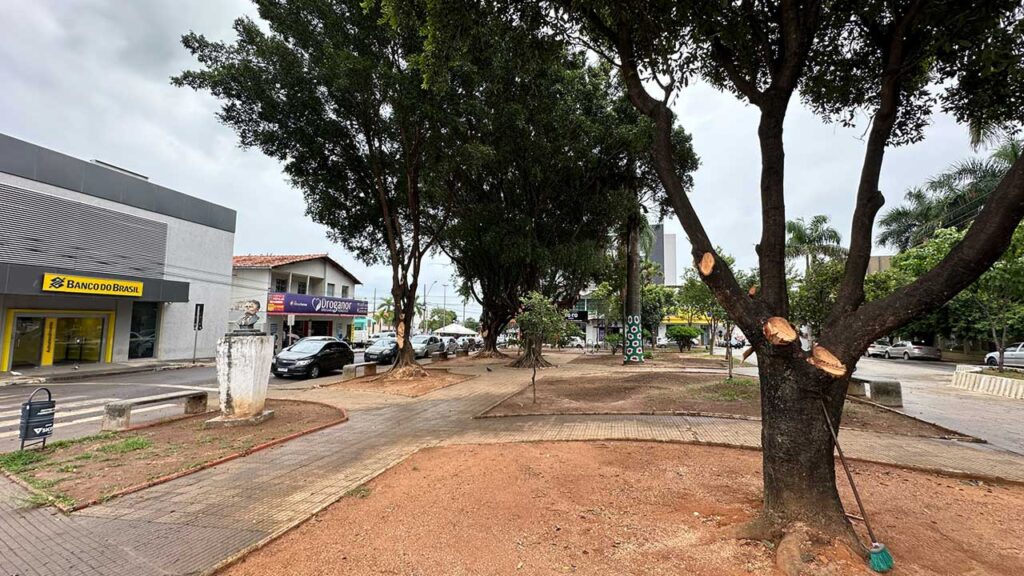 Prefeitura realiza poda de árvores nas praças principais de João Pinheiro para melhorar segurança e visibilidade