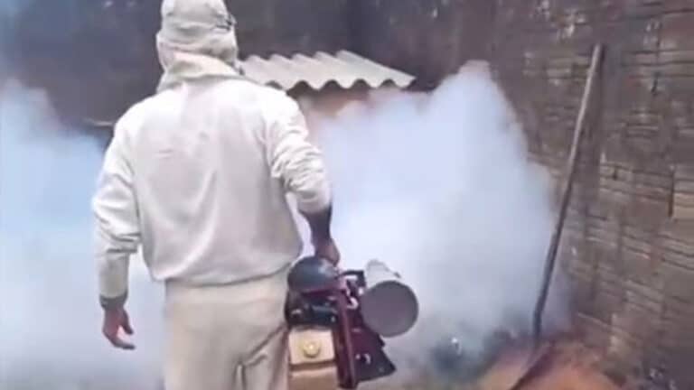 Casos de dengue aumentam em João Pinheiro e chegam a 9 confirmações em 2025