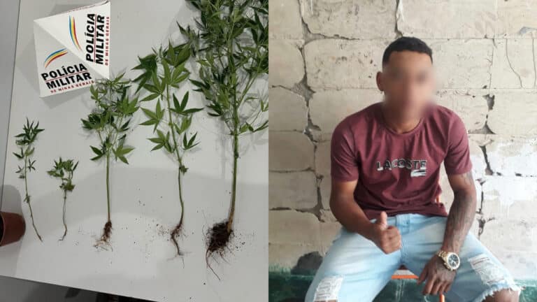 Jovem de 22 anos é preso por cultivar pés de maconha no quintal de casa em Brasilândia de Minas