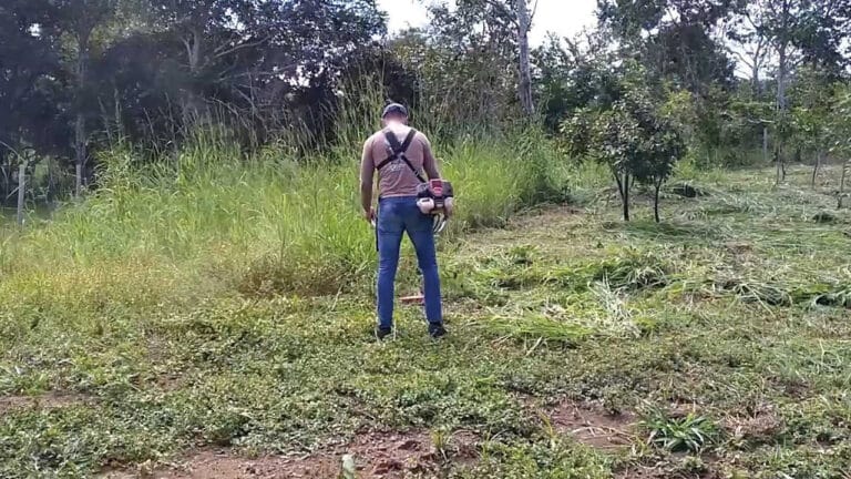 Fazendeiro contrata homem para serviço de capina e acaba tendo roçadeira furtada em Brasilândia de Minas