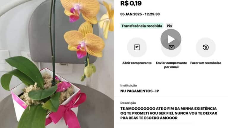 Jovem manda flores e declarações de amor pelo PIX para a ex e vai preso por descumprir medidas protetivas
