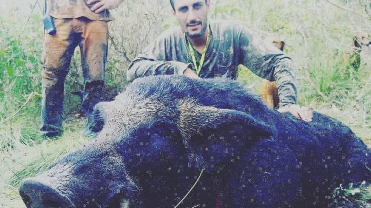 Caçadores abatem javali de 300 kg em João Pinheiro; espécie é considerada invasora e ameaça propriedades