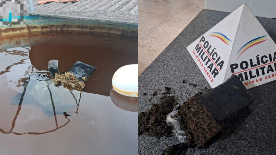 Água verde sai da torneira, morador chama a polícia e maconha é encontrada na caixa d’água