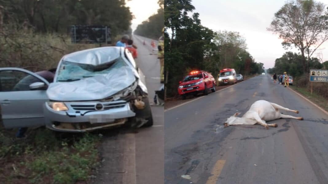 Vaca solta na MG-181 causa grave acidente e deixa três feridos em João Pinheiro