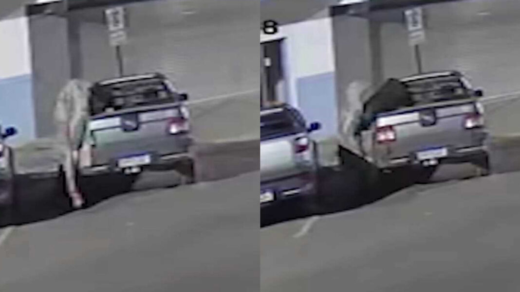 Onda de furtos assola Centro de João Pinheiro: ladrão enrolado em cobertor corta capota de carro e leva bolsa