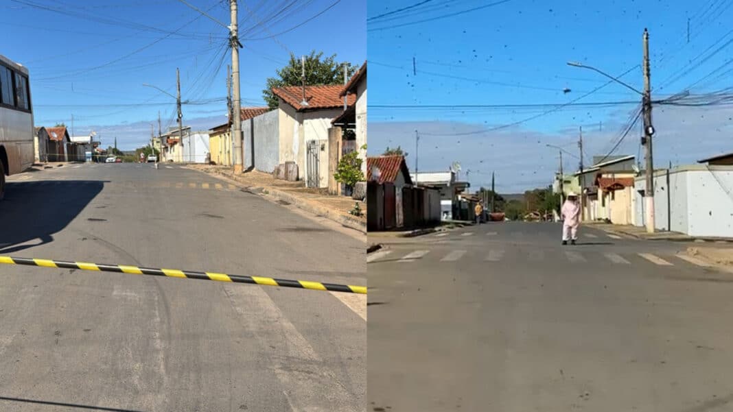 Enxame de abelhas deixa rua interditada e moradores em alerta no Papagaio, em João Pinheiro