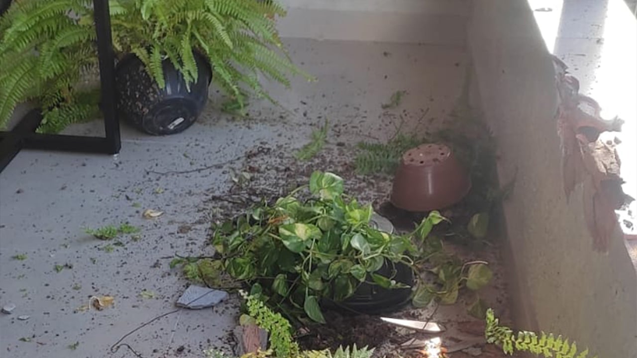 Homem agride companheira, destrói a casa e ateia fogo no colchão do casal em João Pinheiro