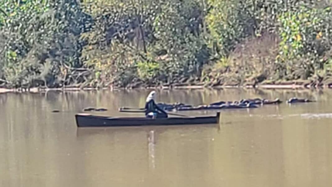 Polícia Ambiental flagra pesca ilegal no Rio Abaeté, prende pescador e aplica multas de mais de R$ 80 mil