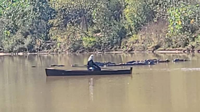 Polícia Ambiental flagra pesca ilegal no Rio Abaeté, prende pescador e aplica multas de mais de R$ 80 mil