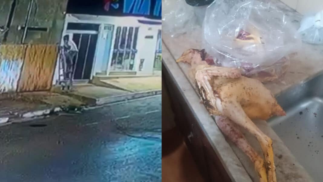 Ladrão usa escada para furtar frangos em João Pinheiro, é filmado por câmera de segurança e preso