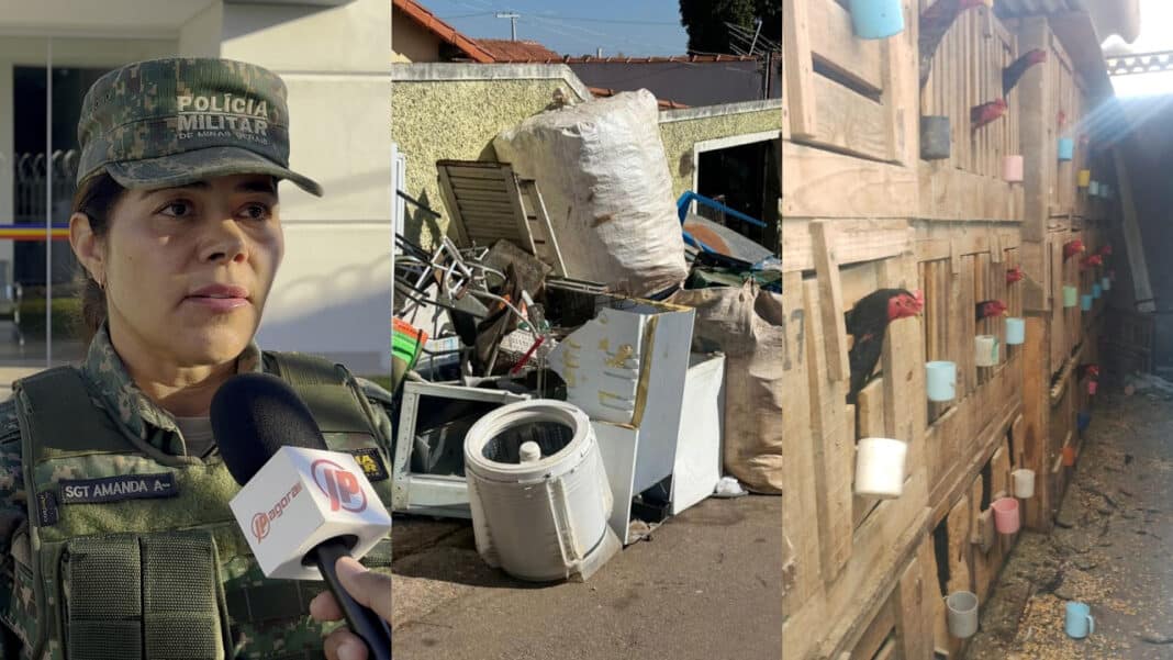 Polícia Ambiental e Vigilância Sanitária notificam morador com 60 galos em casa e outro por acúmulo de recicláveis