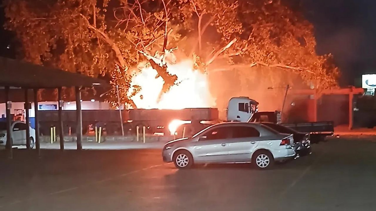 Após incêndio criminoso, gameleira centenária vira cinzas e muda a paisagem de João Pinheiro