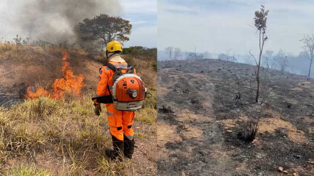 Incêndio que dura quase uma semana já consumiu área de 50 campos de futebol em João Pinheiro