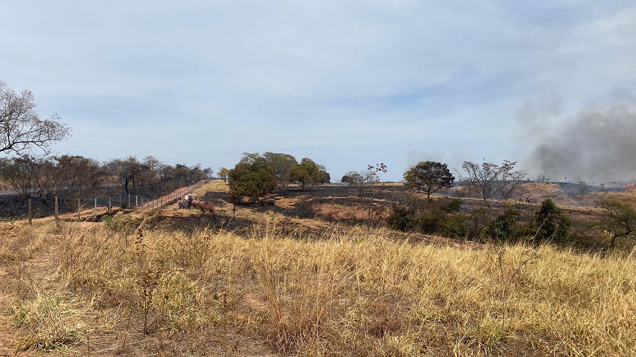 Incêndio que dura quase uma semana já consumiu área de 50 campos de futebol em João Pinheiro