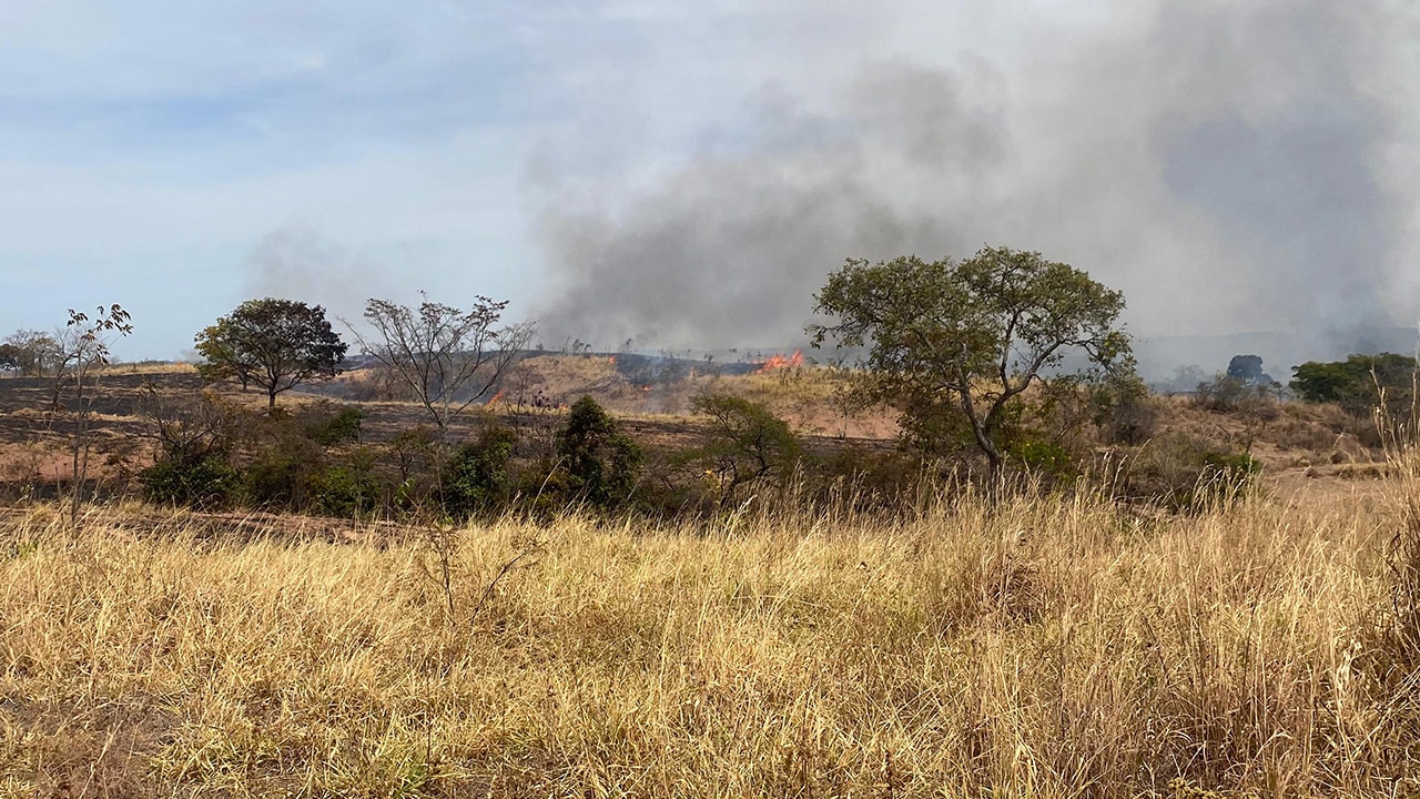 Incêndio que dura quase uma semana já consumiu área de 50 campos de futebol em João Pinheiro