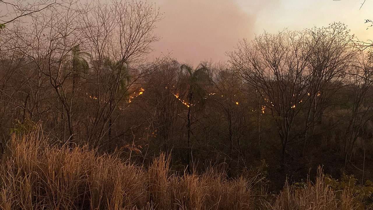 Incêndio que dura quase uma semana já consumiu área de 50 campos de futebol em João Pinheiro