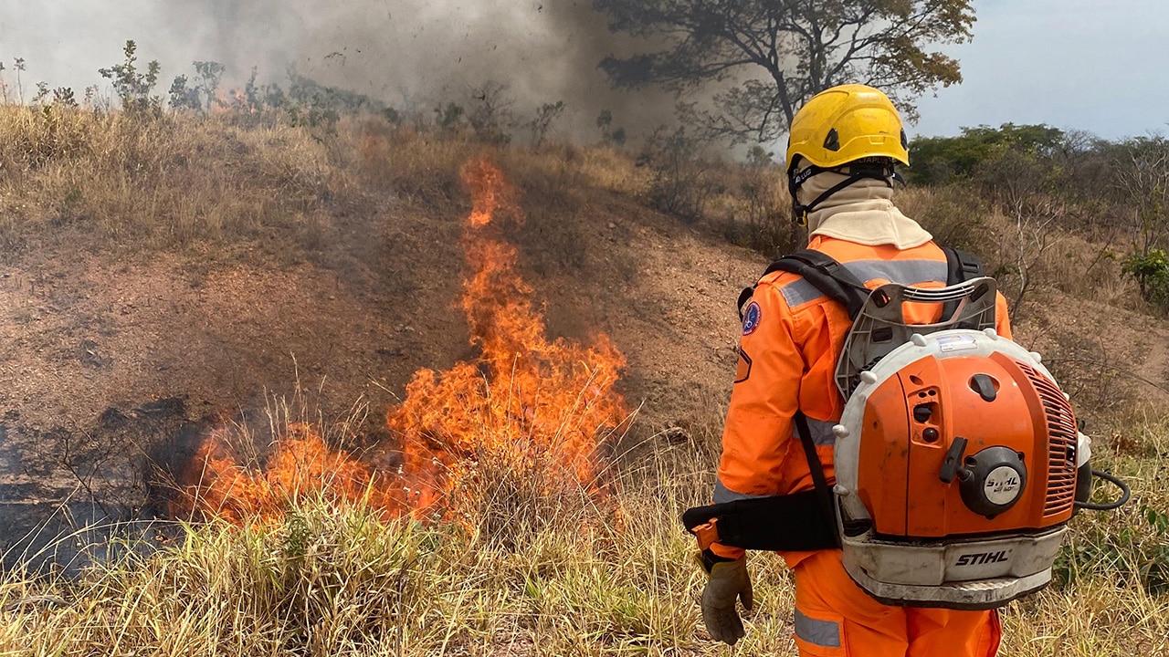 Incêndio que dura quase uma semana já consumiu área de 50 campos de futebol em João Pinheiro